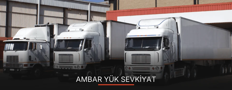 Artvin Ambar Yük Ambarı Firmaları