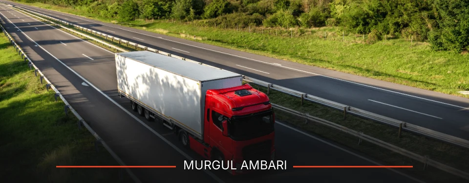 Murgul Ambarı Kargo