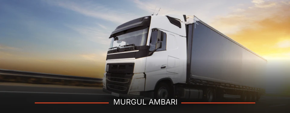 Murgul Ambarı